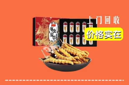 绥化绥棱县回收冬虫夏草