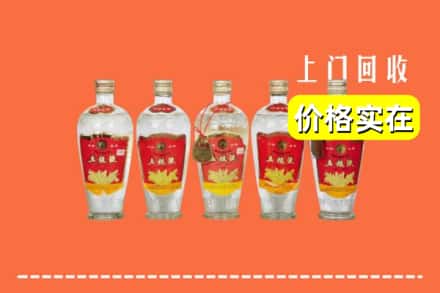 绥化绥棱县回收老五粮液